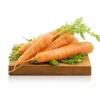 Carote 1Kg