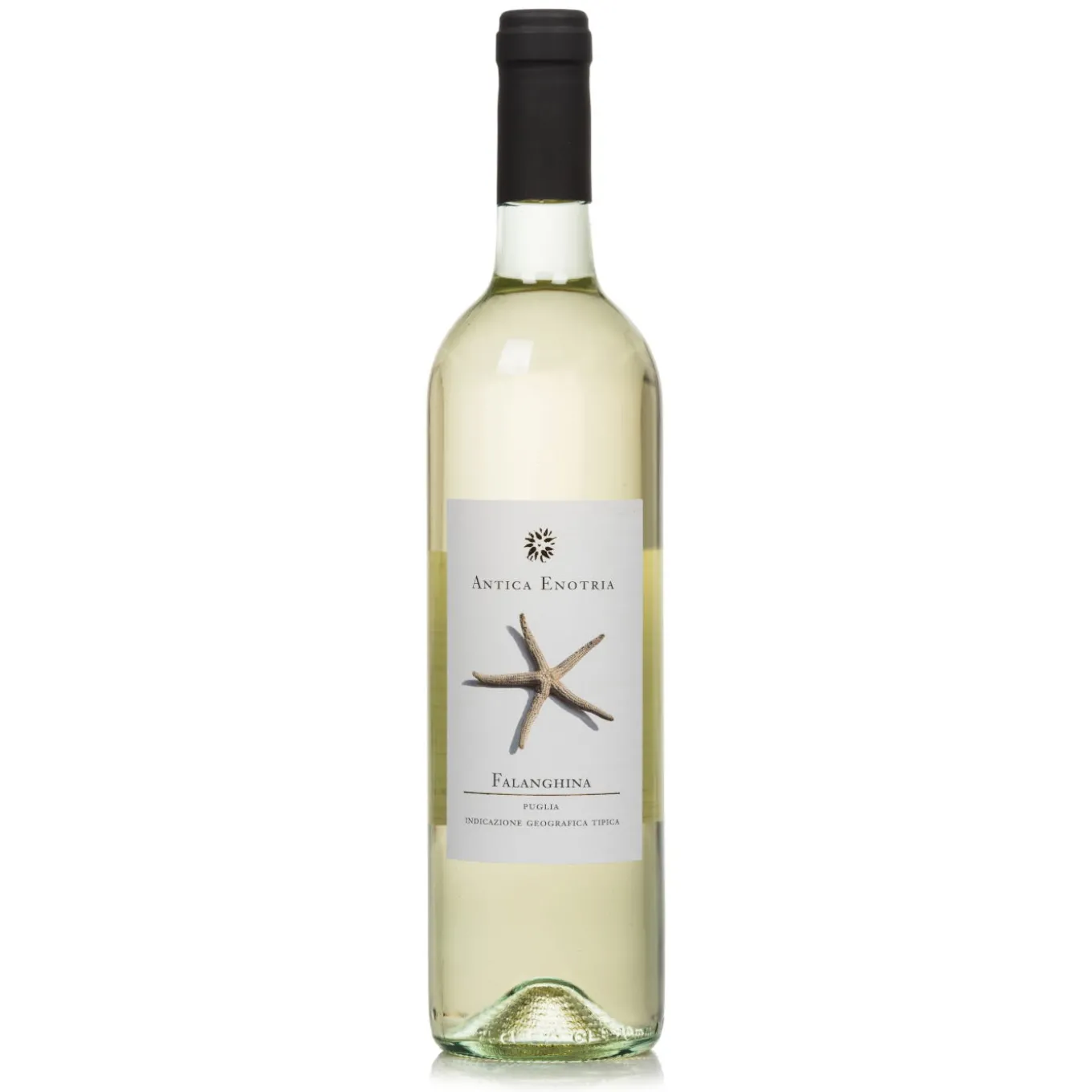 Falanghina IGT Daunia 0,75l