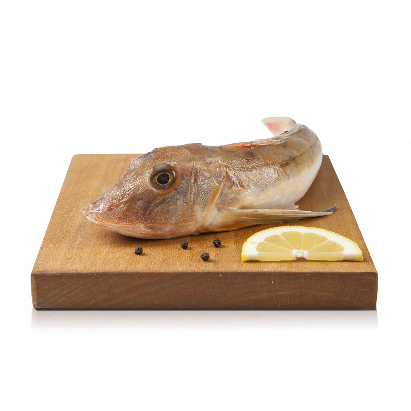 Gallinella dell'Atlantico 400g