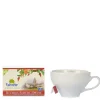 Infuso Rooibos Agrumi e Spezie BIO 30g