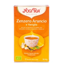 Infuso Zenzero, Arancio e Vaniglia BIO 31g