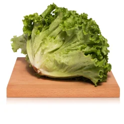 Insalata Gentilina 300g