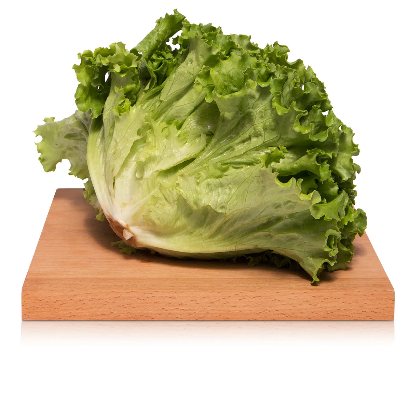 Insalata Gentilina 300g