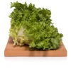 Insalata Indivia Riccia 1Kg