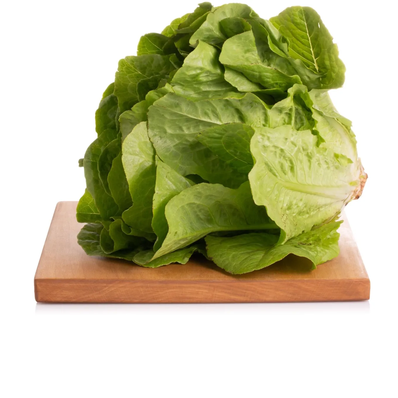 Lattuga Romana Bio 500g