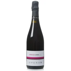Opera Secco Lambrusco di Modena DOP Biologico 0,75l