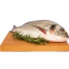 Orata di Orbetello 600g