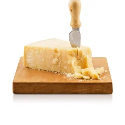 Parmigiano Reggiano DOP 48 Mesi 500g