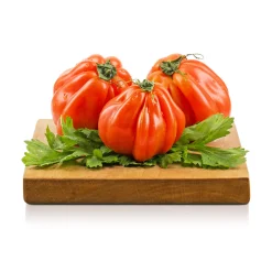 Pomodoro Cuore di Bue 1Kg