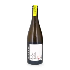Prosecco Colfondo Agricolo Frizzante IGT 0,75l