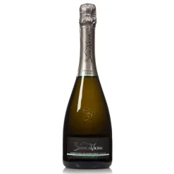 Prosecco Valdobbiadene Conegliano DOCG Bio 0,75l