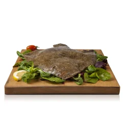 Rombo Allevato 1 Kg