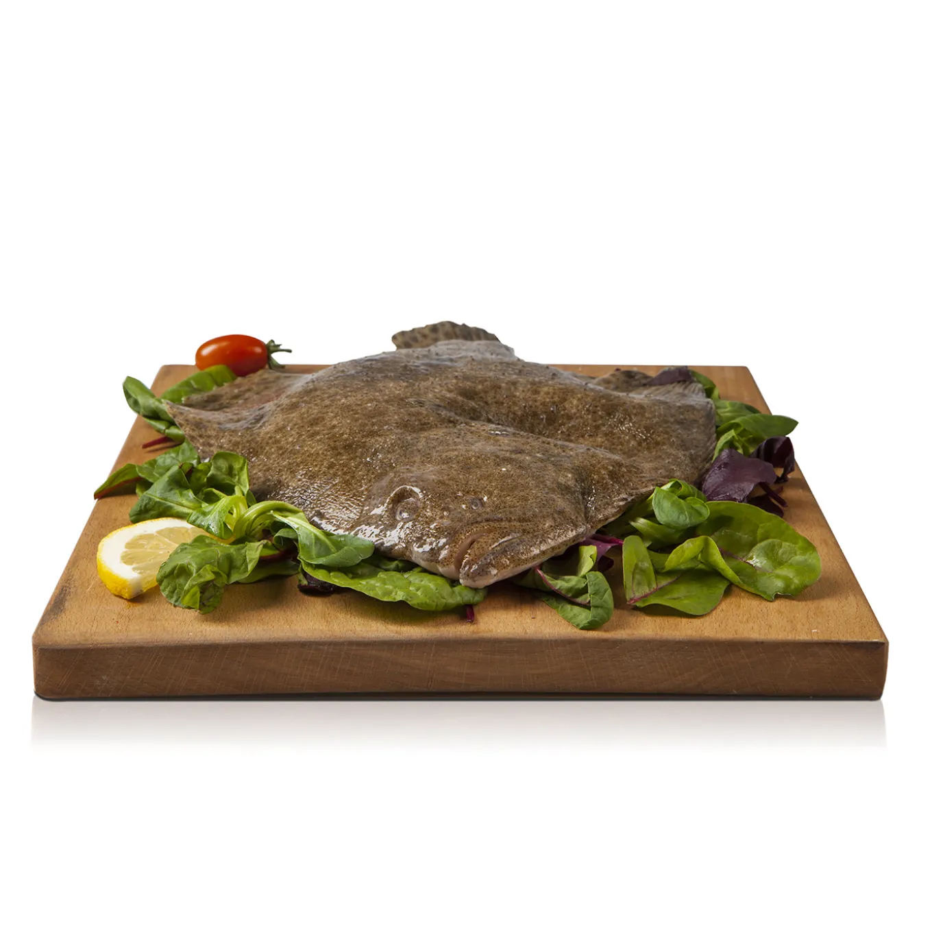 Rombo Allevato 1 Kg