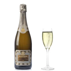 Sansevé Satèn Brut DOCG 0,75l