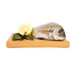 Sarago 500g