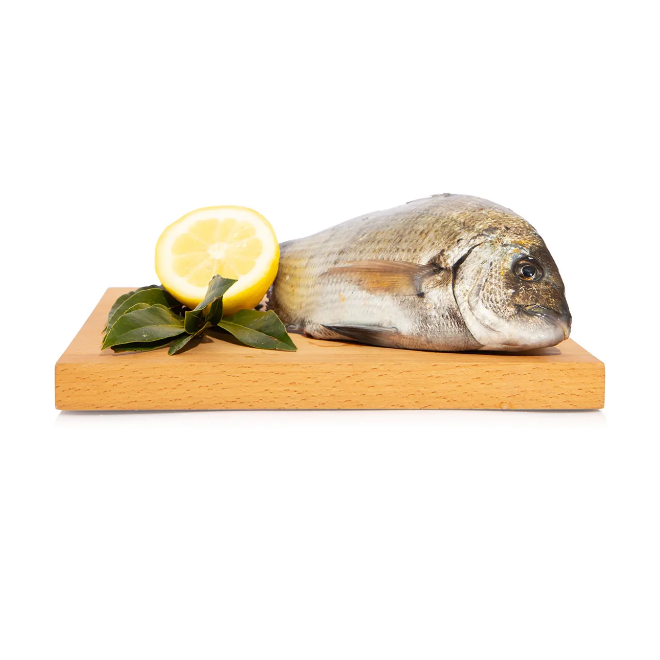 Sarago 500g