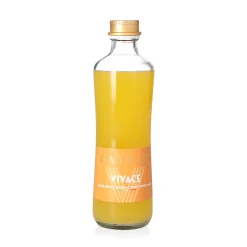 Vivace Aranciata Frizzante in Bottiglia di Vetro 330ml