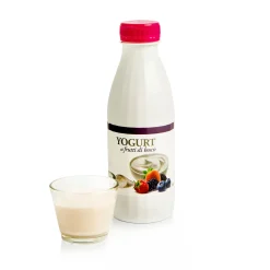 Yogurt ai Frutti di Bosco 500g
