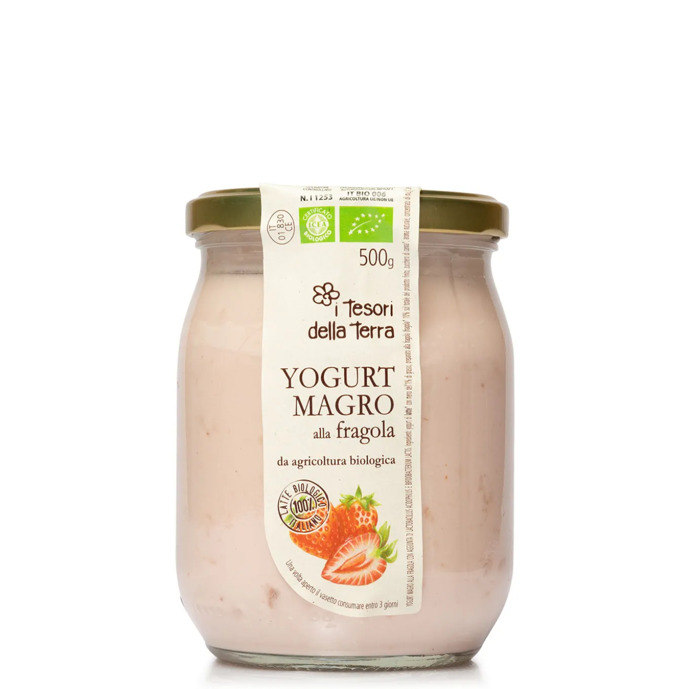 Yogurt alla Fragola Bio 500g