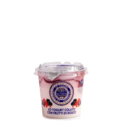 Yogurt con Frutti di Bosco 150g