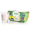 Yogurt di Soia al Mirtillo 2x125g
