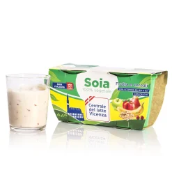 Yogurt di Soia Frutta e Cereali 2x125g