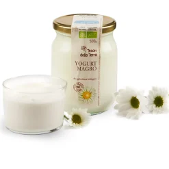 Yogurt Magro 500g